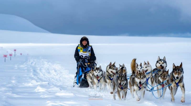 Lo sleddog moderno gare e competizioni nel mondo