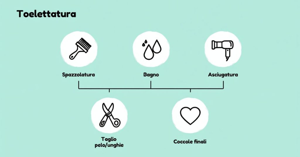 Infografica con i passaggi per la toelettatura del cane