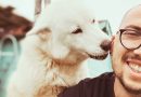 “Ho agito perché nessuno lo faceva”: l’intervista al soccorritore che ha salvato un cane in auto