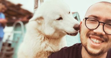 “Ho agito perché nessuno lo faceva”: l’intervista al soccorritore che ha salvato un cane in auto