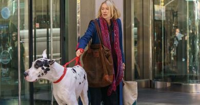 L’amico fedele: al cinema il film con un Alano protagonista, tra lutto e rinascita