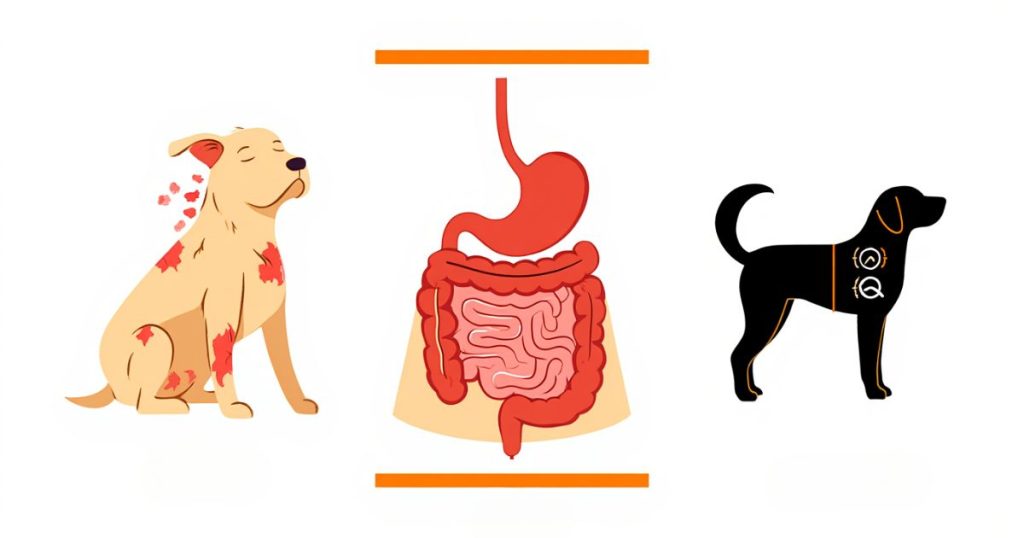 Sintomi principali delle allergie sul cane: dalla pelle all’umore