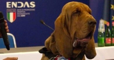 Addio a Bruno, cane da soccorso ucciso da un’esca avvelenata: “Ha sofferto per ore”
