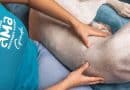 Massoterapia animale: intervista a Giada, fondatrice di AMA