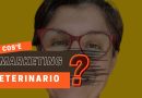 Cos’è il marketing veterinario? Ne parliamo con Silvia Bonasegale Camnasio