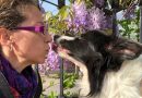 Deborah Fratucello la veterinaria che unisce scienza e ascolto delle famiglie