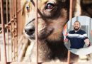 “Prima di svuotare i canili, impariamo a non riempirli”