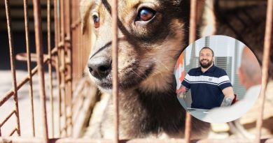 “Prima di svuotare i canili, impariamo a non riempirli”