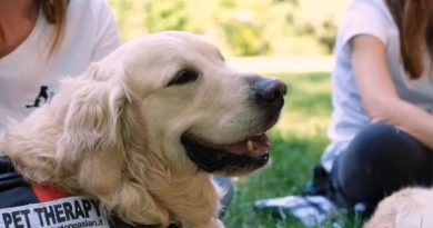 A Torino una giornata dedicata agli interventi assistiti con animali: dieci anni di Aslan
