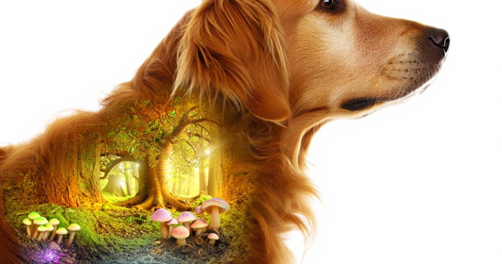 Microbiota del cane è come una foresta: ecco perché va protetto