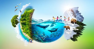 “Biosfera. Essere parte della natura”. Due giorni di workshop per ripensare il nostro posto nel mondo