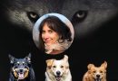 Lupi travestiti: intervista a Barbara Gallicchio