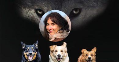 Lupi travestiti: intervista a Barbara Gallicchio