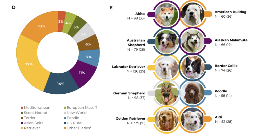 Schema dei fattori che influenzano il comportamento del cane e distribuzione del campione di 4.497 cani.