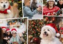 Natale in una famiglia mustispecie: un posto sotto l’albero anche per loro!