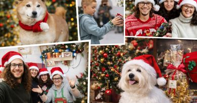 Natale in una famiglia mustispecie: un posto sotto l’albero anche per loro!