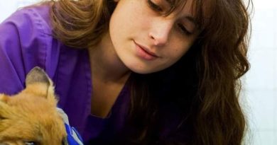 Comunicazione digitale, odio online e medicina veterinaria: l’intervista a Giulia Corsini