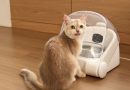 Riconoscimento facciale nella ciotola? Al CES 2026 Cheerble svela il futuro della gestione multi-gatto