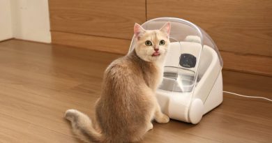 Riconoscimento facciale nella ciotola? Al CES 2026 Cheerble svela il futuro della gestione multi-gatto