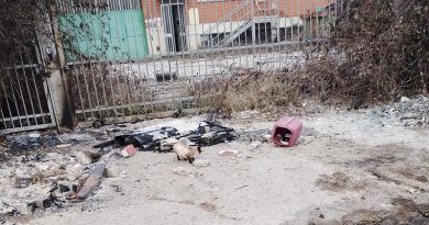 Colonia felina devastata a Nichelino nella notte di Capodanno