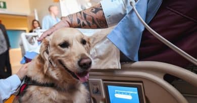 Ospedale di Rivoli la pet therapy in Terapia Intensiva diventa “best practice” regionale