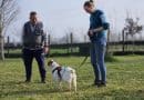 “CodaNonMente”: otto test comportamentali che rivelano chi è davvero il tuo cane