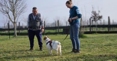 “CodaNonMente”: otto test comportamentali che rivelano chi è davvero il tuo cane