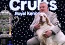 La storia del Crufts! L’expò più prestigiosa del mondo