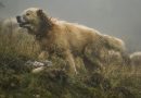 Perché esistono i cani da guardiania: guarda il talk con Project Abruzzi