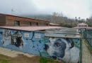 Blitz al canile di Monte Contessa e il futuro del benessere animale a Genova. Ne parliamo con la consigliera Francesca Ghio