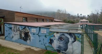 Blitz al canile di Monte Contessa e il futuro del benessere animale a Genova. Ne parliamo con la consigliera Francesca Ghio