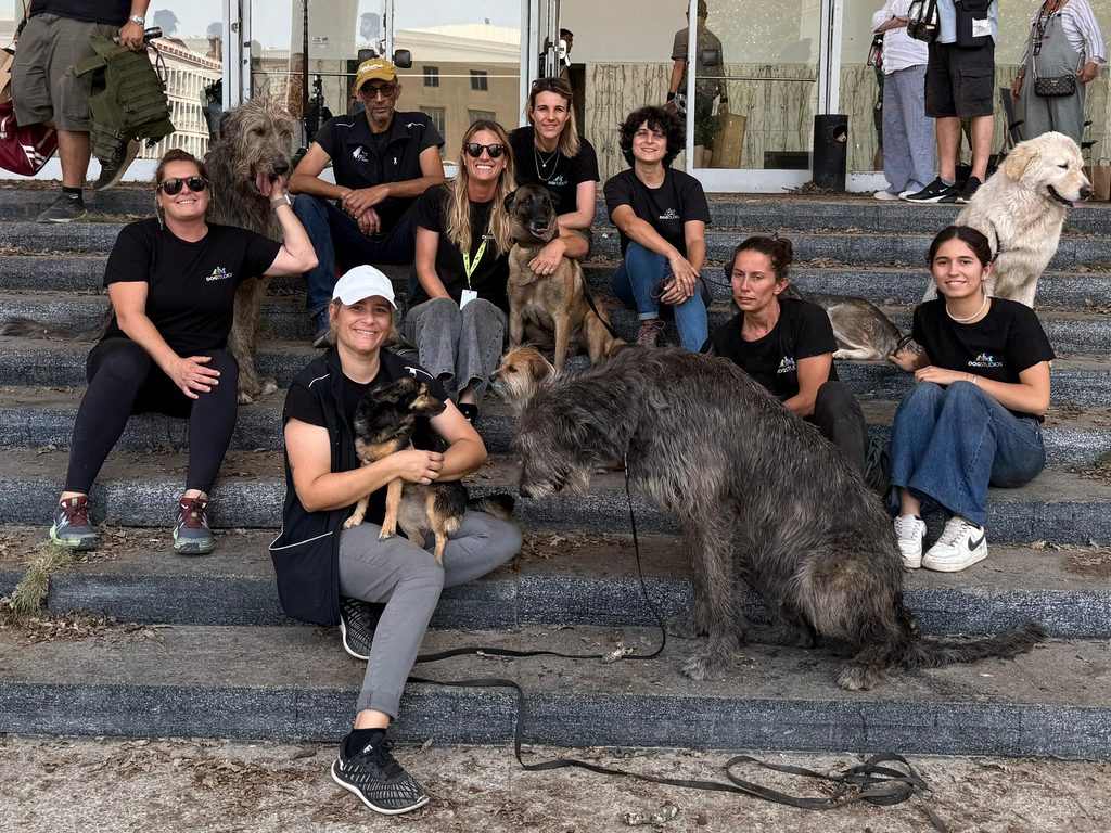 tutto lo staff e il branco sulla gradinata.