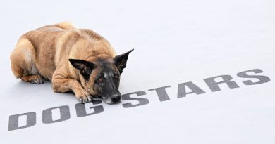 The Dog Stars, chi è il cane che interpreta Jasper