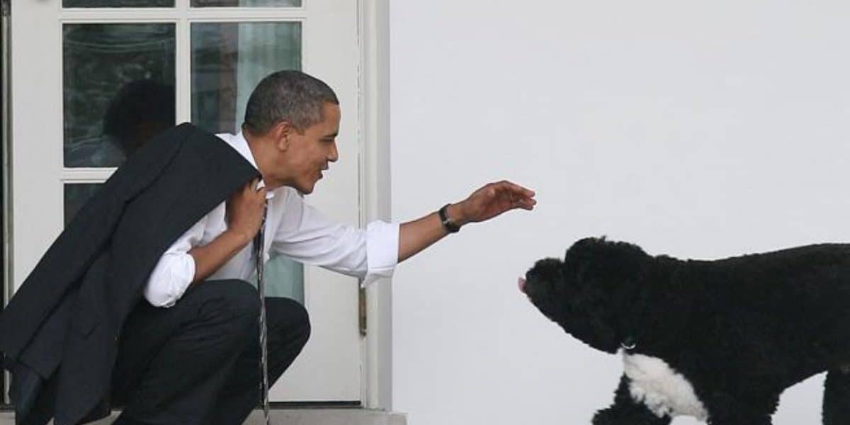 Rassegna Zampa 18 settembre: addio a Sunny cane degli Obama, a Quartu 120 cani in mezzo ai rifiuti e le proprietarie vengono assolte, i cani di Dego tornano a casa Rassegna Zampa 18 settembre: addio a Sunny cane degli Obama, a Quartu 120 cani in mezzo ai rifiuti e le proprietarie vengono assolte, i cani di Dego tornano a casa