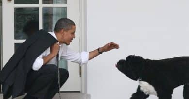 Rassegna Zampa 18 settembre: addio a Sunny cane degli Obama, a Quartu 120 cani in mezzo ai rifiuti e le proprietarie vengono assolte, i cani di Dego tornano a casa Rassegna Zampa 18 settembre: addio a Sunny cane degli Obama, a Quartu 120 cani in mezzo ai rifiuti e le proprietarie vengono assolte, i cani di Dego tornano a casa