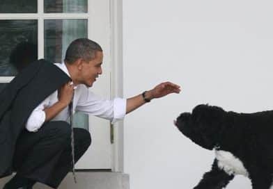 Rassegna Zampa 18 settembre: addio a Sunny cane degli Obama, a Quartu 120 cani in mezzo ai rifiuti e le proprietarie vengono assolte, i cani di Dego tornano a casa Rassegna Zampa 18 settembre: addio a Sunny cane degli Obama, a Quartu 120 cani in mezzo ai rifiuti e le proprietarie vengono assolte, i cani di Dego tornano a casa