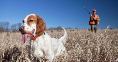 Federcaccia condanna la morte dei sette cani: un segnale atteso