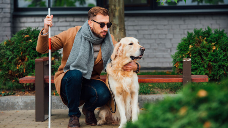 Una persona con bastone bianco accanto a un cane guida