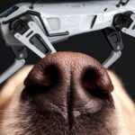 Illustrazione con il naso di un cane e un robot quadrupede