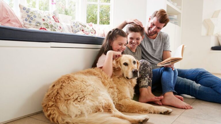 Famiglia con il proprio cane in casa: i costi per alimentazione e cure nel 2026