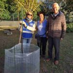 Volontari ENPA durante la piantumazione di un albero nel canile comunale di Ravenna